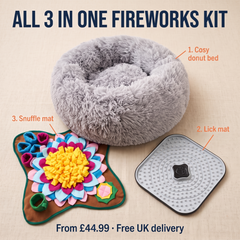 All three items in the Fireworks Kit laid out from above